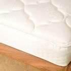 pictures of Bed Bugs Remedy pictures of Bed Bugs Remedy