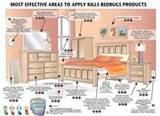 photos of Bed Bugs Treatment At Home