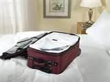 images of How To Protect Against Bed Bugs