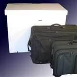 Bed Bug Heat images