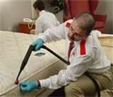 photos of How Get Rid Of Bed Bugs