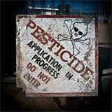 Pesticide For Bed Bugs