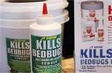 Bed Bugs Remedy photos Bed Bugs Remedy photos