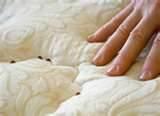Exterminator For Bed Bugs images