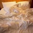 Removing Bed Bugs