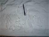 On The Avenue Hotel Bed Bugs pictures