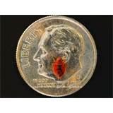 Finding Bed Bugs photos