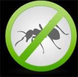 pictures of How To Eliminate Bed Bugs