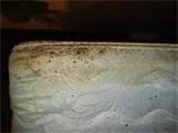 pictures of On The Avenue Hotel Bed Bugs