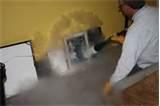 How To Eliminate Bed Bugs