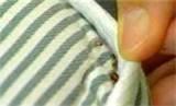 photos of Finding Bed Bugs