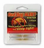 Bed Bug Alert