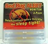 Pictures of Bed Bug Alert
