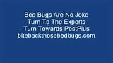 Bed Bugs Bite Pictures Photos