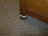 Image Of Bed Bug Photos