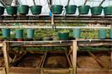 Photos of How To Make A Worm Bed