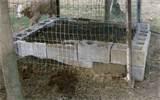 How To Make A Worm Bed Images