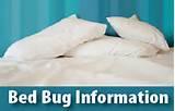 Bed Bug Info Images