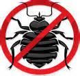Stop Bed Bugs