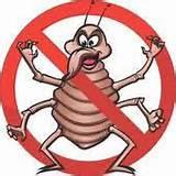 Stop Bed Bugs Photos