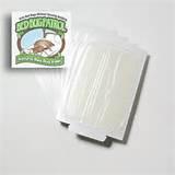 Bed Bug Pesticide