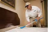 Controlling Bed Bugs Pictures