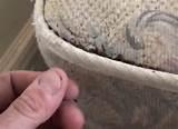 Photos of Can Bed Bugs Be Seen