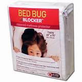 Pictures of Bed Bugs Xbox Pictures of Bed Bugs Xbox