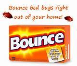 Images of Bed Bugs Dryer